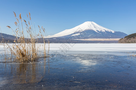 在日本冬季雪反射IcedYamanaka湖的藤冬山图片