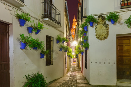 西班牙安达卢亚市科尔多瓦著名的花街CallejadelasFlores和贝尔塔梅兹基的白墙上花盆朵图片