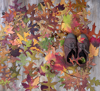 秋叶树上生锈的木头穿着舒适的鞋图片