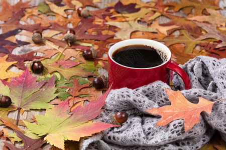 有选择地关注大杯红热黑咖啡和围巾生锈木上有机勃的秋叶图片