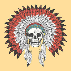 美国印地安人头盖羽毛的骨图片