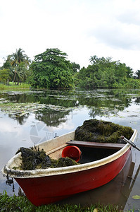 新加坡植物园湖红船公图片