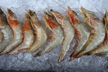 巨大的淡水虾加上泰国市场冰面图片