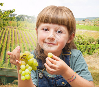 女孩在葡萄园里吃葡萄图片
