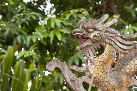 在越南丛林屋顶的龙首饰图片