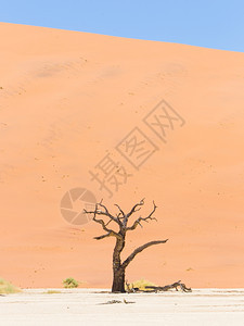 纳米比亚Namib沙漠DidevleiSossusvlei图片