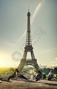 法国日落时分巴黎Doves和Eiffel铁塔图片