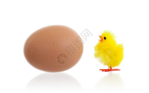 复活节小鸡环绕一个大型鸡蛋孤立图片
