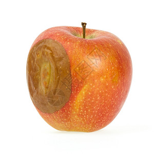 一个坏红苹果孤立在白色背景上图片