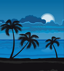 夏夜沙滩有棕榈树和月亮图片