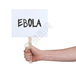 手持牌孤立在白埃博拉的埃博拉上图片