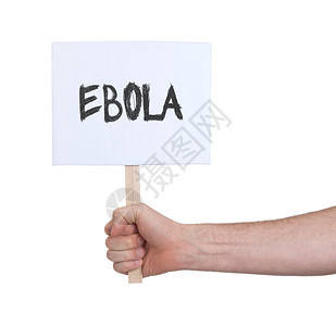 手持牌孤立在白埃博拉的埃博拉上背景图片