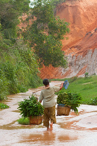 MUINNEVETNAM201年7月6日越南农民妇女将其货物从野生中运出农业对越南大部分人口的生存至关重要201年7月6日越南M图片
