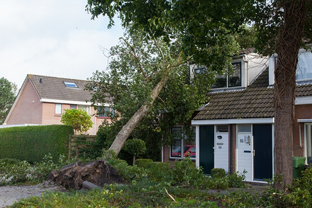 2013年月28日,荷兰莱乌瓦尔登:荷兰北部遭受大规模风暴,估计损失总额超过1亿欧元。图片