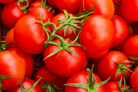 红番茄背景背景图片