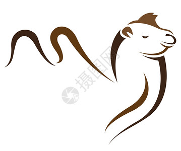 情旅游用白色背景骆驼的矢量图像插画