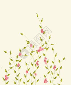 装饰树枝和鲜花矢量插图背景图片