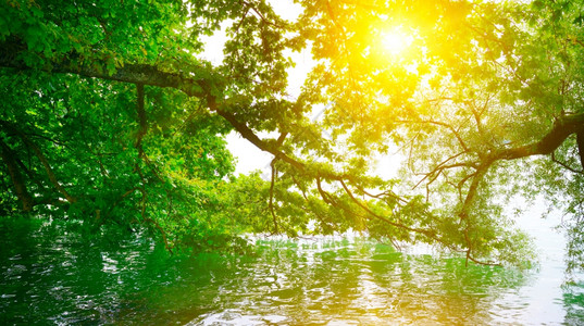 太阳的光辉背景