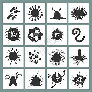 细胞病传图标生物学免疫细菌和感染微生物在白本中分离的症状图片