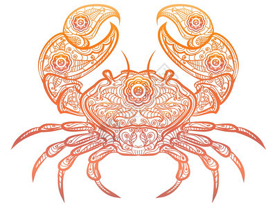 彩色螃蟹装饰面条设计彩色螃蟹在白背景上被孤立矢量蟹或彩色螃装饰面条设计图片