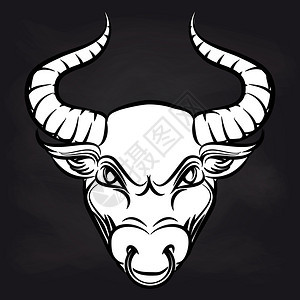 黑板背景的白公牛头手画黑板背景的白公牛头矢量插图图片