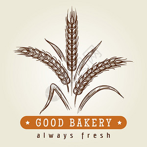 小麦耳朵好的面包店标志手画的好标志绘制草图小麦耳朵反位标志矢量图图片