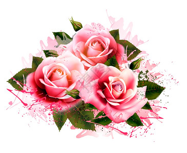 美丽的玫瑰花矢量插画图片
