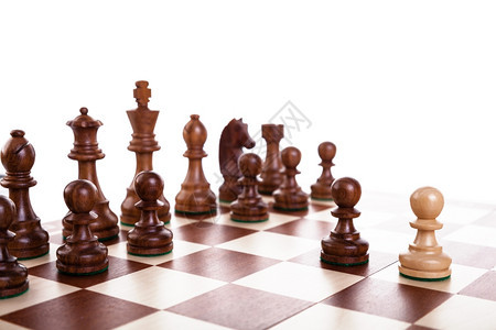 木象棋图片