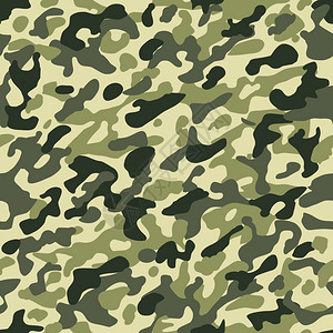 迷彩背景照片 迷彩背景背景 迷彩背景摄影图片下载 摄图网