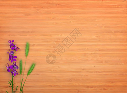 木制背景的两栖花朵文本空闲间顶部视图图片