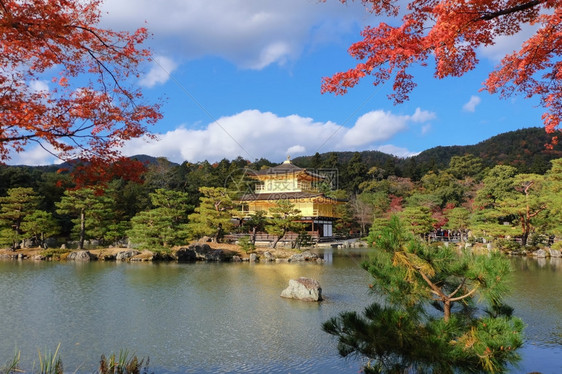 京都寺金殿秋天在京都的图片