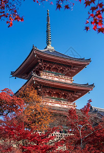 日本秋季清水寺背景图片