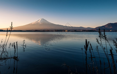 湖边的藤山风景图片