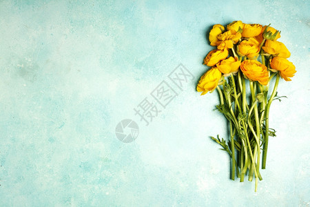 黄色彩虹花朵紧贴在蓝桌上图片