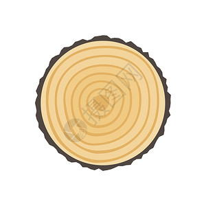 树树皮纹理插画