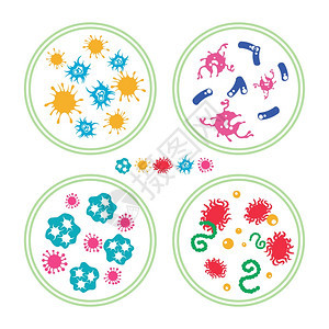 Petri盘中的多色细菌异丙醇和Petri盘中的免疫细菌矢量说明图片