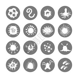灰色圆圈上的微生物图标和免疫细菌是灰色圆圈上的白图标矢量解图片