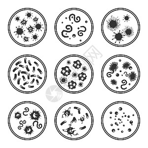 Petri天线上的异丙基Petri天线上的异丙基和免疫细菌图片