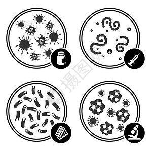 Petri盘中的图标显微镜和注射器中的图标图片