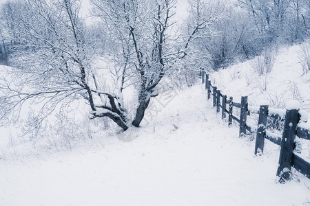 雪天气图片