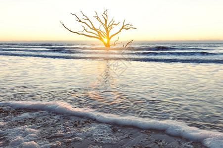 美国南卡罗来纳州埃迪斯托岛BotanyBay海滩日出图片
