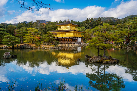 京都寺金殿秋天在京都的图片