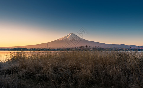 早上从川口湖来的藤山图片