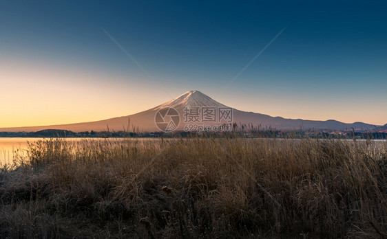 早上从川口湖来的藤山图片