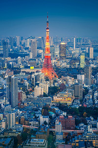 日本公司东京市景天际与塔之夜日本背景