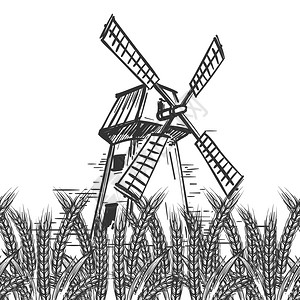 风车矢量农场景观包括磨坊和小麦农场景观包括手工磨坊和白底小麦耳朵背景