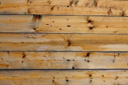 木本背景的纹理木板壁的纹理背景图片