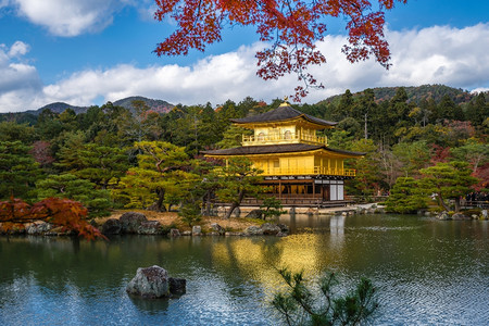 京都寺金殿秋天在京都的图片