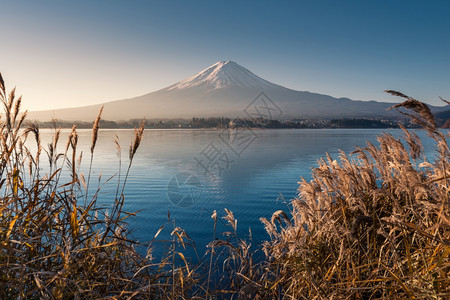 早上从川口湖来的藤山图片