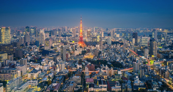 东京市景天际与塔之夜日本图片